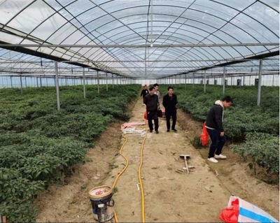 伍市鎮 多措并舉，織密織牢疫情防控期間水產養殖質量安全網