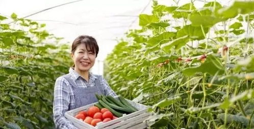 三產融合，共贏未來 如何將休閑農業、鄉村旅游與有機農產品種植打造成最佳營銷組合