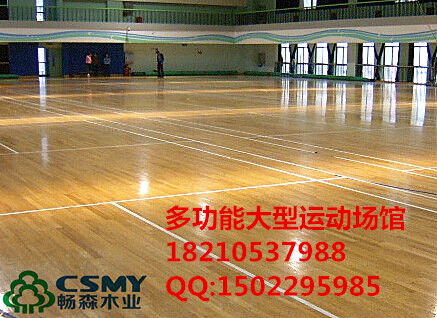 舟山運(yùn)動(dòng)木地板及塑膠地板價(jià)格指南與配套效果展示